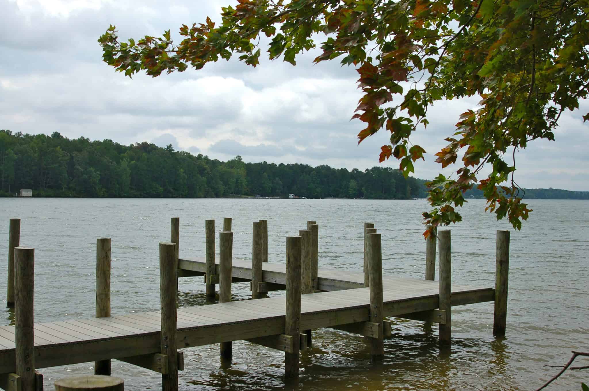 Lake Anna State Park: Unveiling Spotsylvania's Hidden Gem