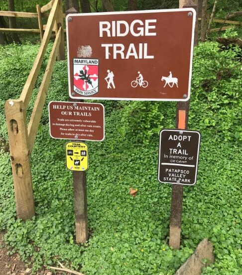 ridge trail patapsco valley state park