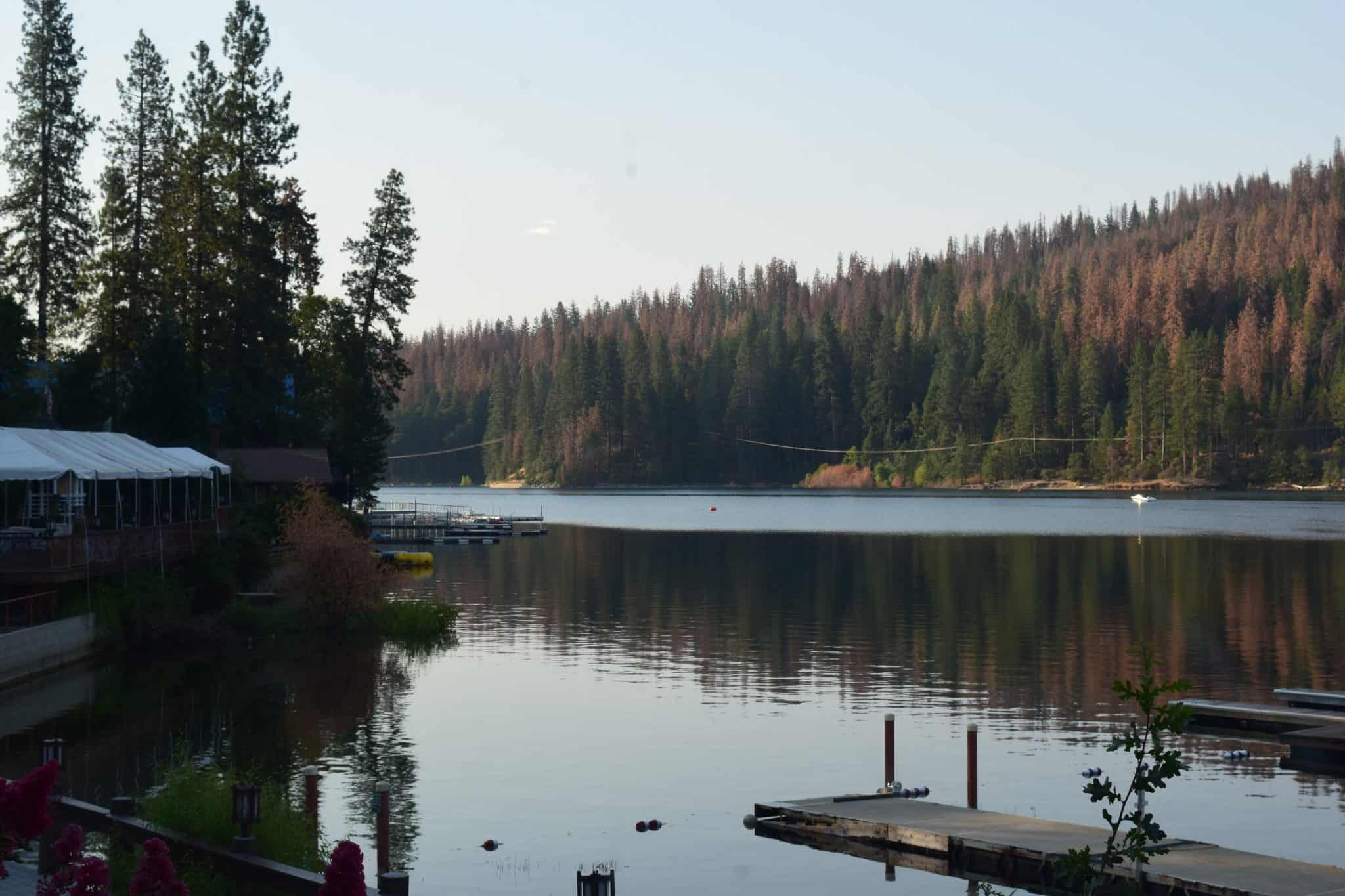 Bass Lake Camping: Top Campgrounds in Sierra National Forest - Camping