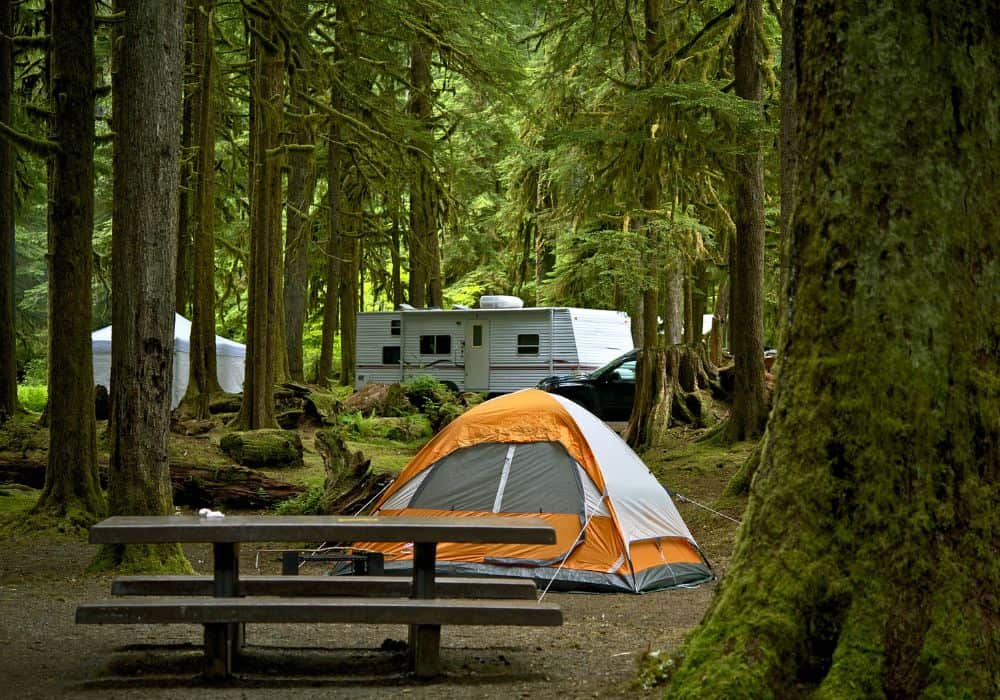 Dorst Creek Campground