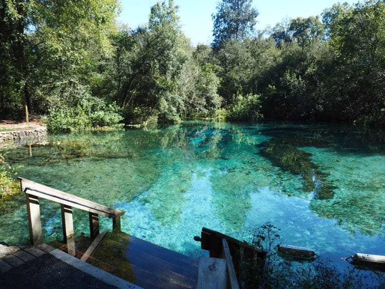 Ichetucknee Springs Campgrounds: Your Outdoor Retreat