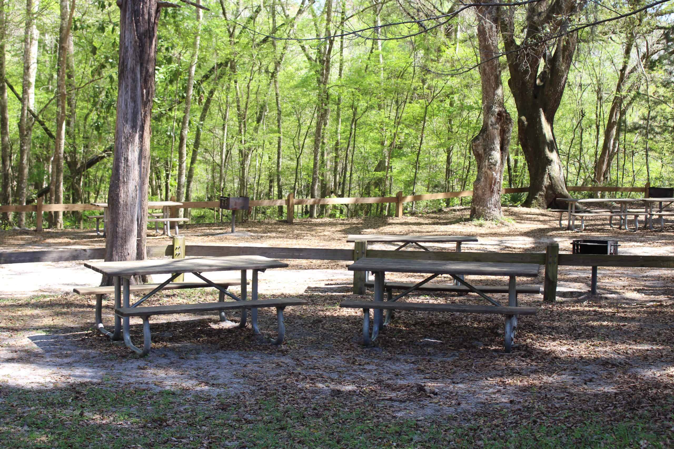 Ichetucknee_Springs_State_Park_picnic_tables