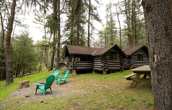 Cooks Forest Cabin