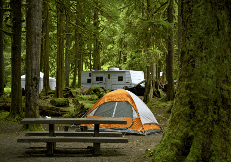 Good Sam Campgrounds in Florida: Our Top Picks for RVers