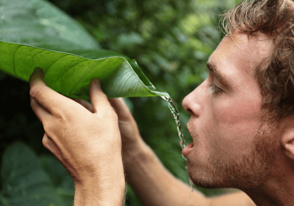 man drinking water from a leaf