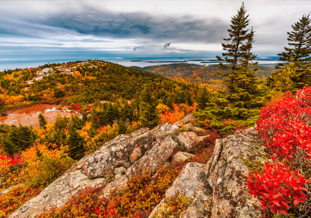 Fall Foliage atop Cadillac Mountain in Acadia National Park Maine